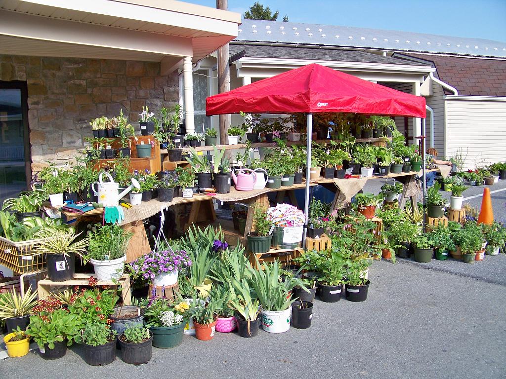 2015 Plant Sale – Mt Joy Gift & Thrift